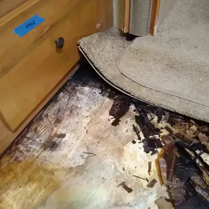 Wood Floor Water Damage in Woodville, TX